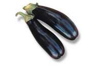 Нарвал F1 - баклажан, 1 000 семян, Lark Seeds (Ларк Сидс), США фото, цена